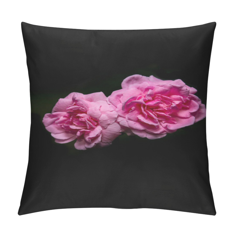 Personality  Pink Roses Blooming On A Dark Background Pillow Covers