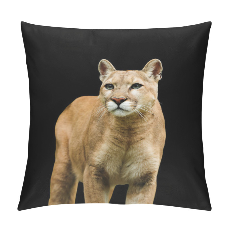 Personality  Puma Pillow Covers