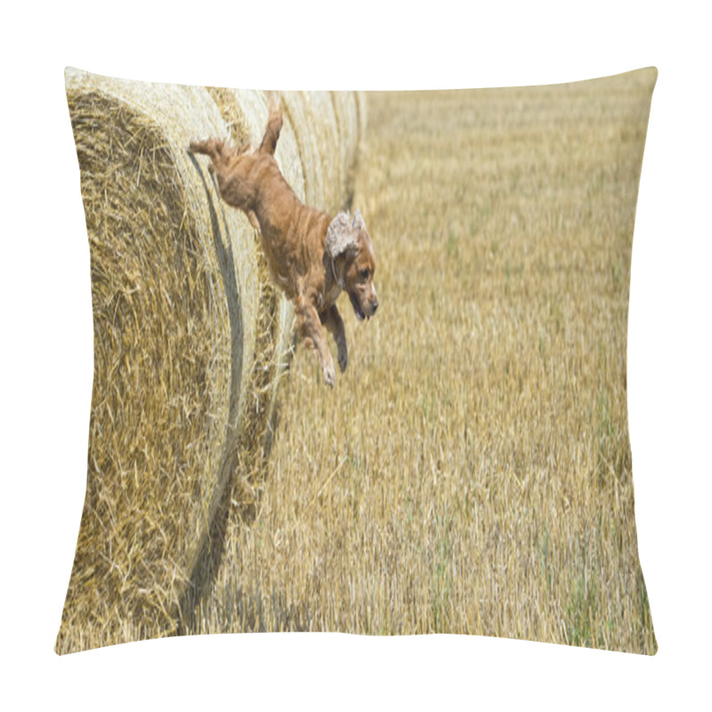 Personality  Dog Puppy Cocker Spaniel Jumping From Wheat Pillow Covers