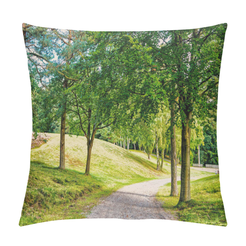 Personality  Nature, Environment And Ecology Concept. Footpath Among Green Trees, Ecology. Path In Spring Or Summer Forest, Nature. Road In Wood Landscape, Environment. Pillow Covers