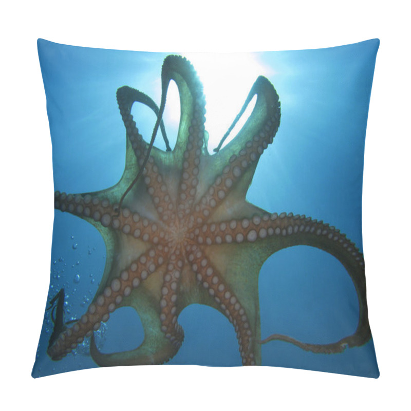 Personality  Tentacles Pillow Covers