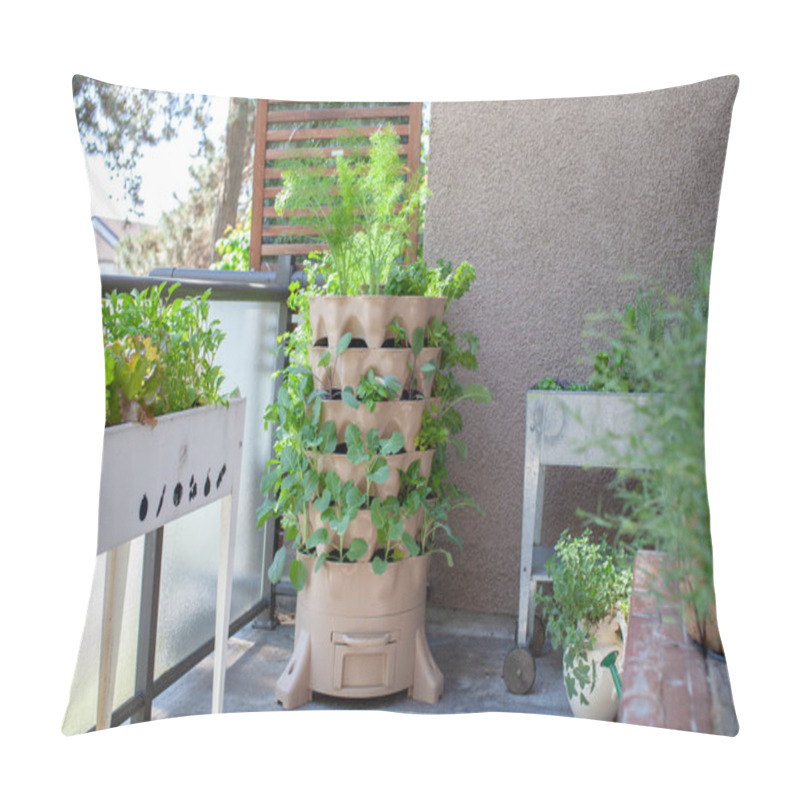 Personality  A Tall Vertical Garden Sits On An Apartment Balcony (patio) With Fresh Salad Greens, Herbs And Vegetables. Ideal Small Space And Urban Gardening Solution Pillow Covers