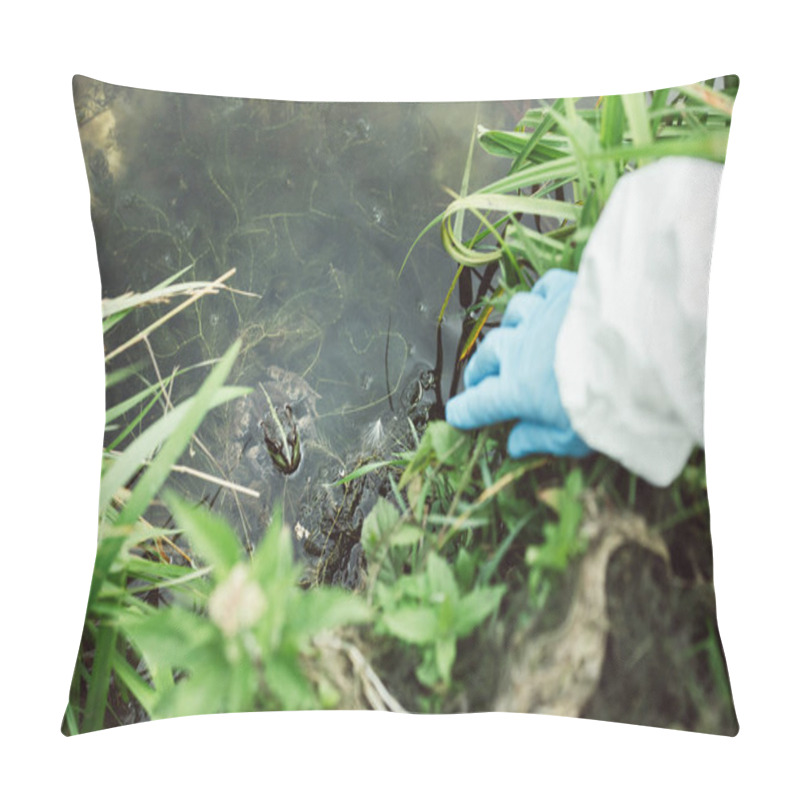 Personality  Cropped Image Of Male Scientist Looking At Frog In Water Outdoors  Pillow Covers