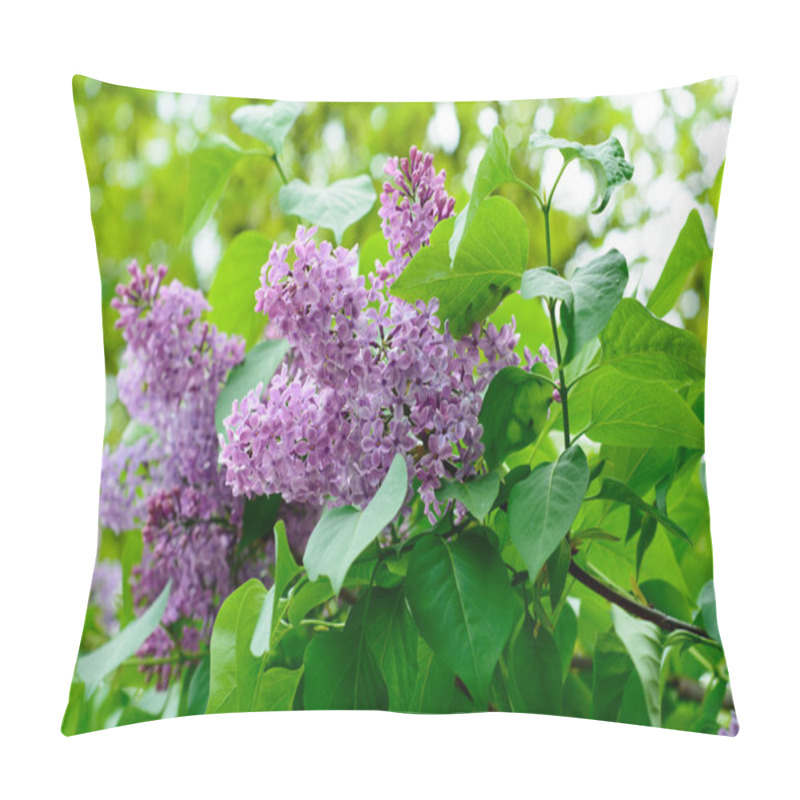 Personality  Lilac Blossoms Or Flowers Pillow Covers