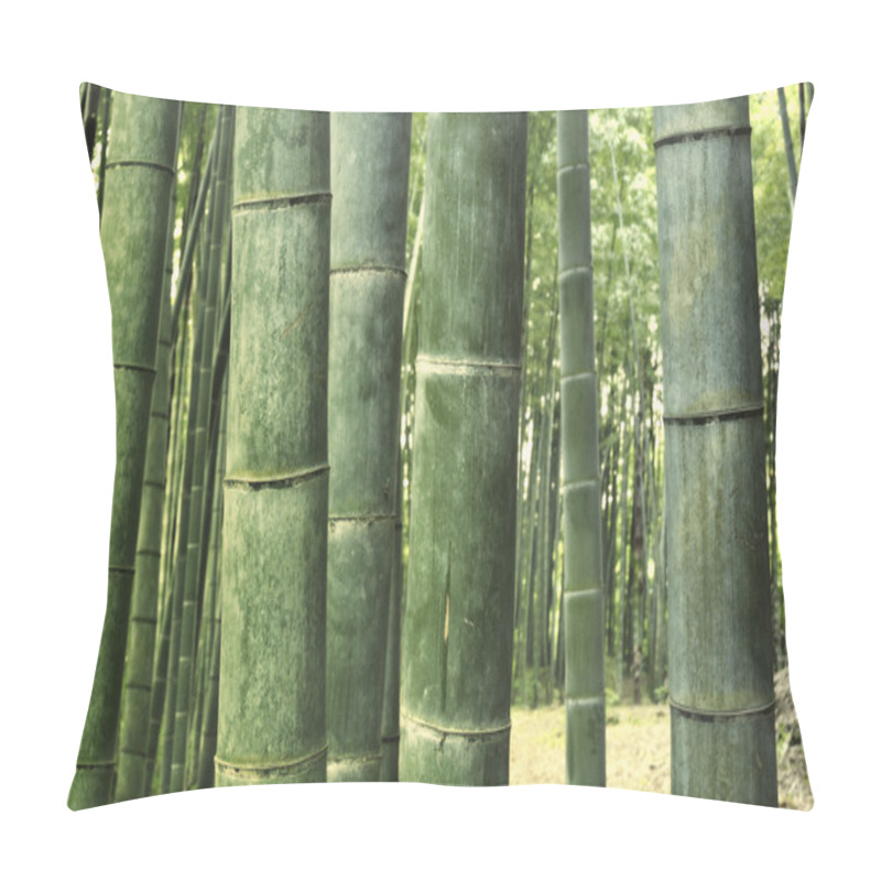 Personality  Bamboo Forest Background Pillow Covers