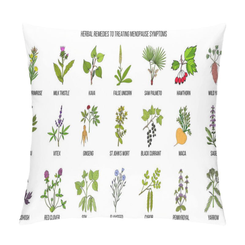 Personality  Best Herbs For Menopause Symptom Treatment Pillow Covers