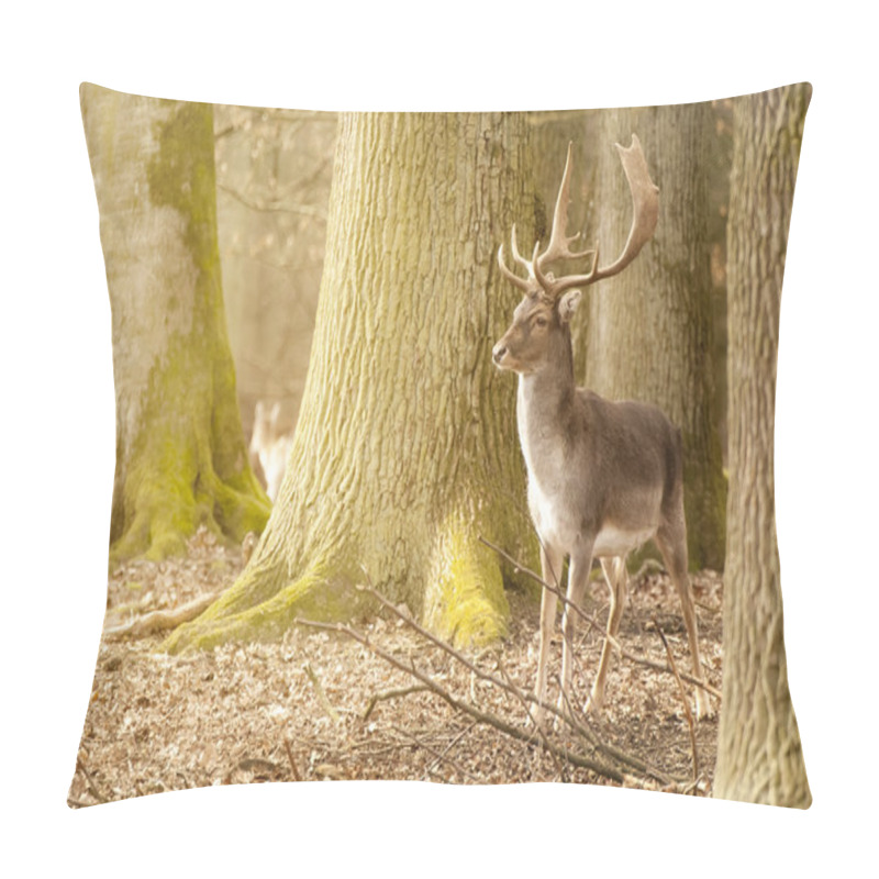 Personality  Fallow Deer (Dama Dama) Pillow Covers