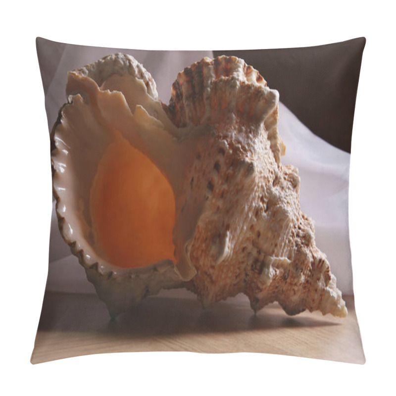 Personality  Shell On The Table . Large Ocean Shell Conch Shell On White Airy Fabric Background.  Pillow Covers