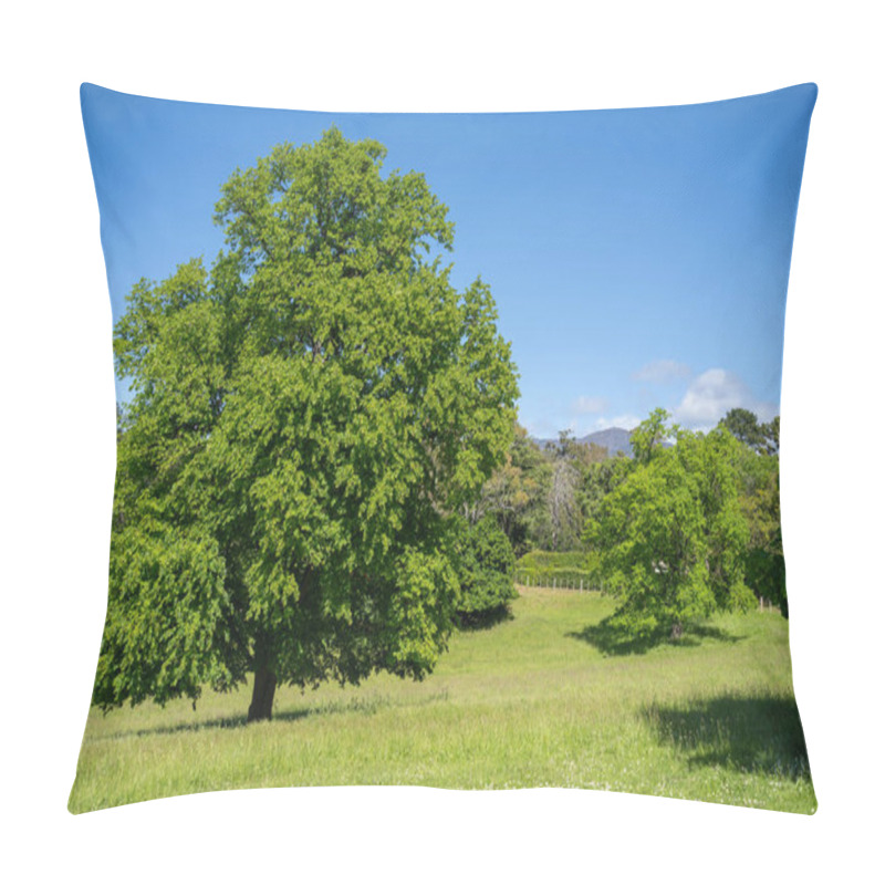 Personality  Trees In A Meadow On A Farm In A Country Estate On A Farm In Spring Pillow Covers