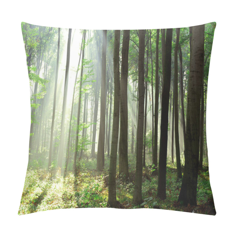 Personality  Beautiful Morning Sunrays In Forest Pillow Covers