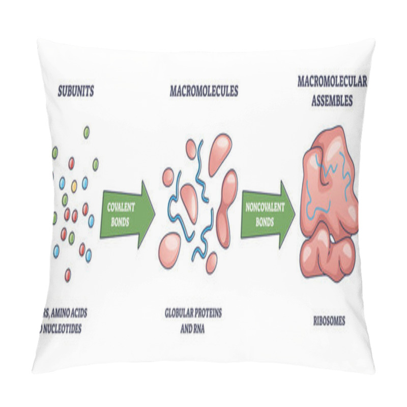 Personality  Macromolecules Formation From Subunits To Ribosomes Assembles Outline Diagram Pillow Covers