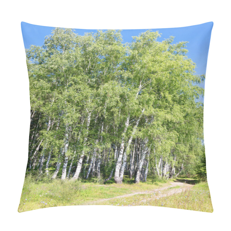 Personality  Authentic Beautiful Summer Landscape Birch Grove On A Clear Sunn Pillow Covers