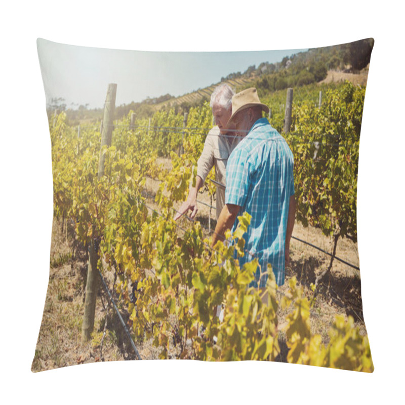 Personality  Senior, Farmer And Men In Vineyard For Agriculture With Quality Assurance Or Crops Inspection For Harvest. Teamwork, Discussion Or Checking Produce On Grape Field For Sustainability Or Growth Control. Pillow Covers