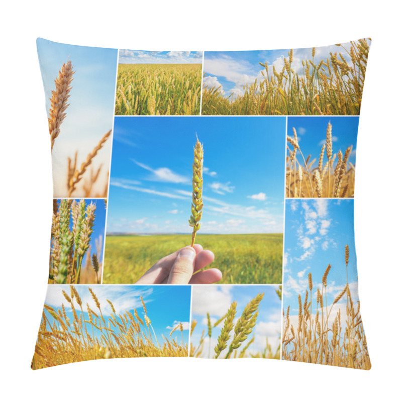 Personality  Collage Of Pictures With Wheat Ears Pillow Covers