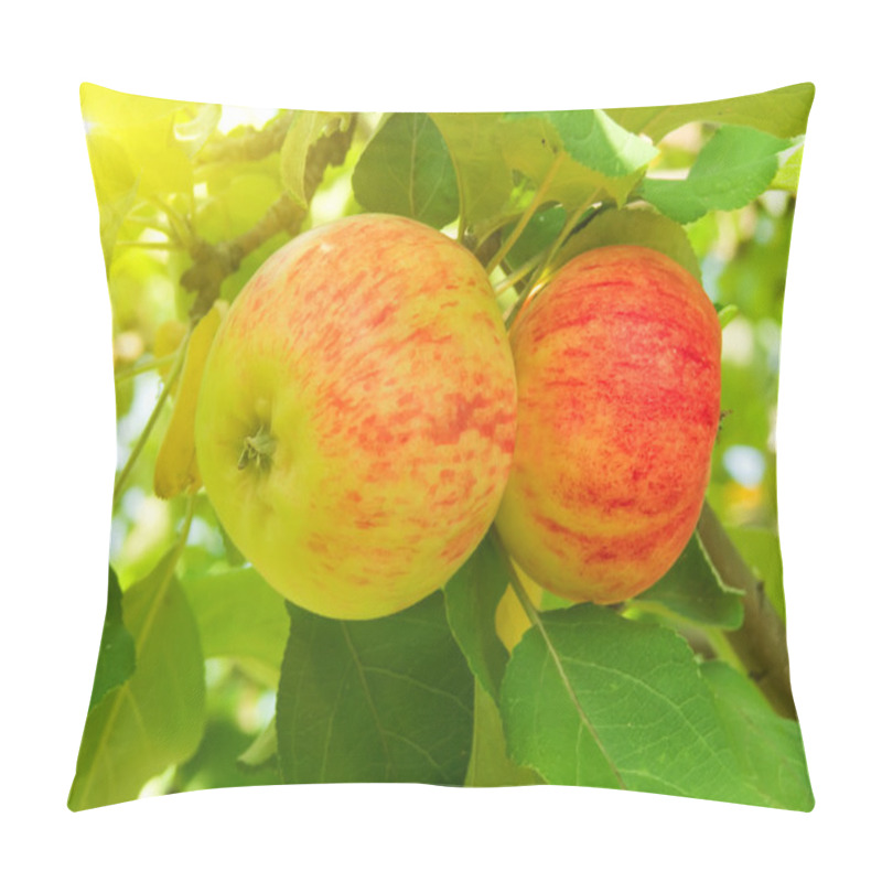 Personality  Apples Tree Pillow Covers