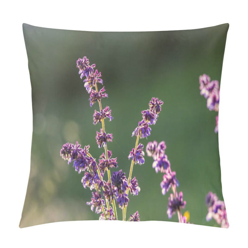 Personality  Wild Basil Plant Blooming In Spring Pillow Covers