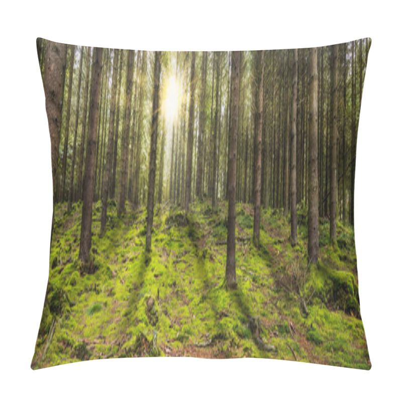 Personality  Beautiful Panoramic Forest With The Morning Sun Shining Through The Trees. Pillow Covers