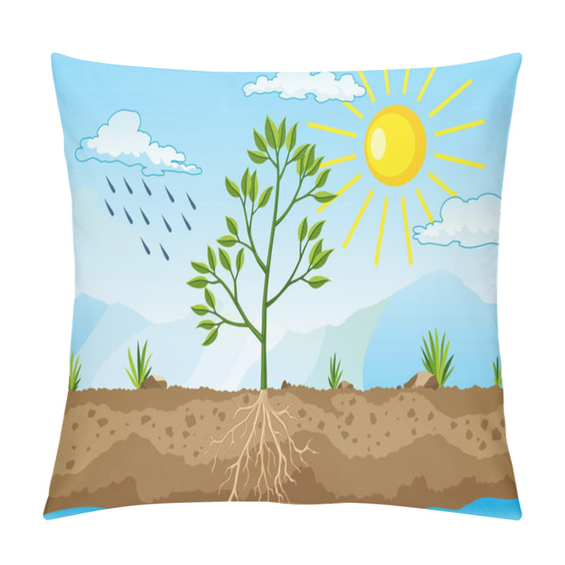 Personality  Photosynthesis As A Process Of Tree Produce Oxygen Using Rain And Sun. Process Of Photosynthesis In Plant. Colorful Biology Illustration For Education In Flat Style Pillow Covers