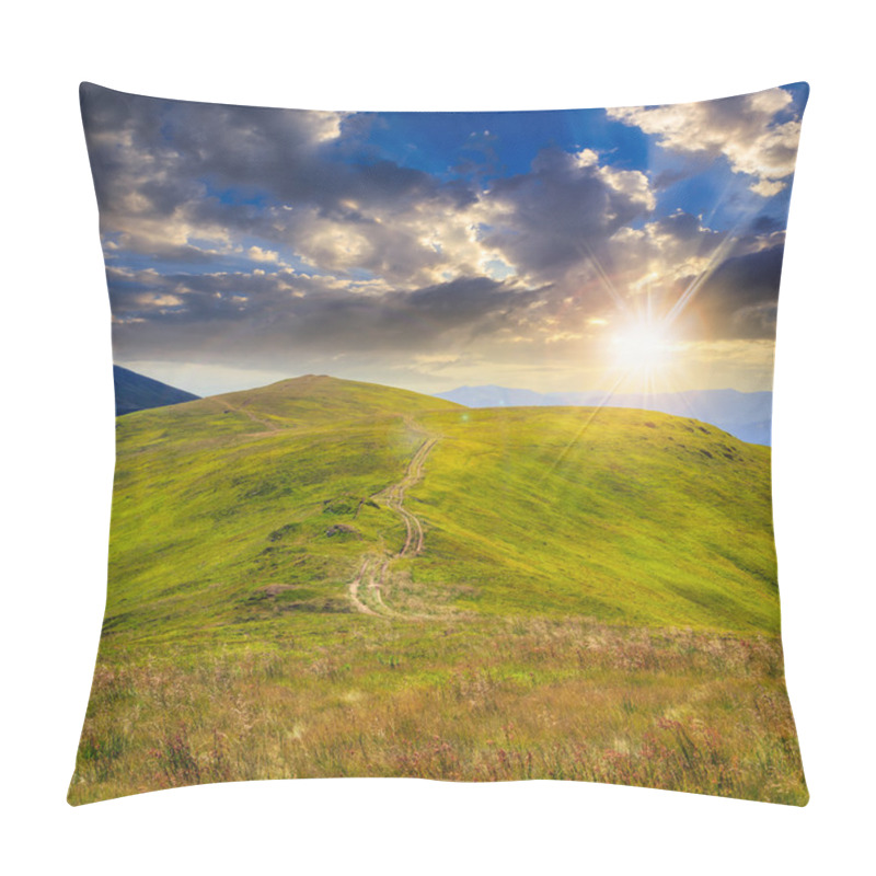 Personality  High Wild Plants At The Mountain Top At Sunset Pillow Covers