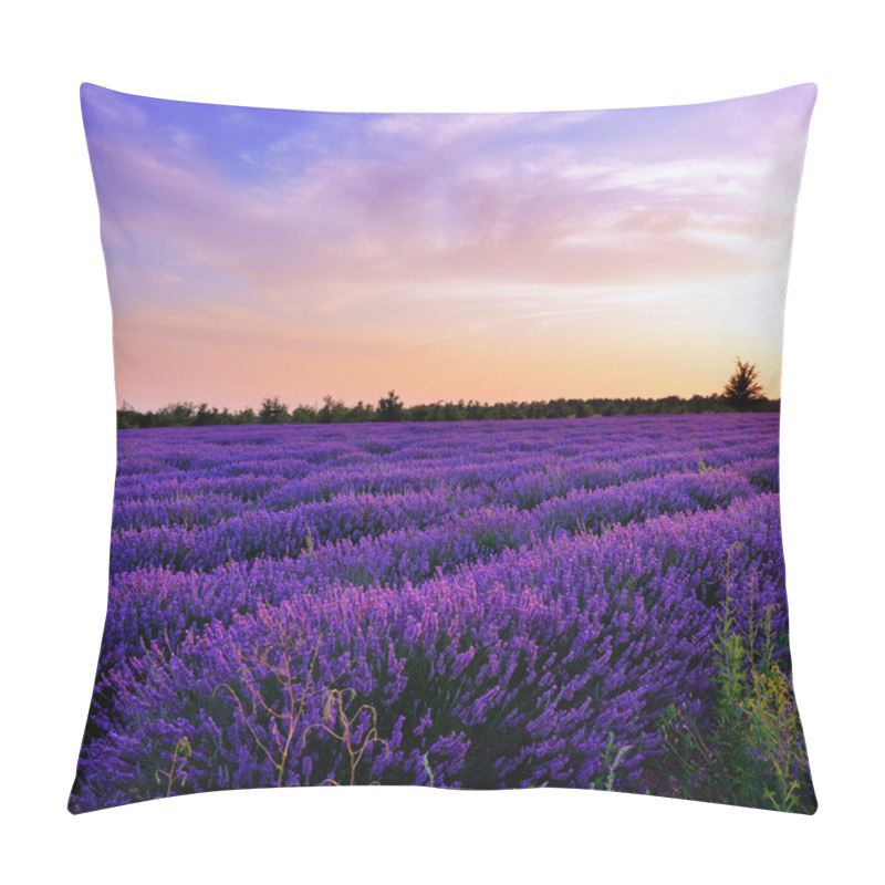 Personality  Lavender Field Pillow Covers