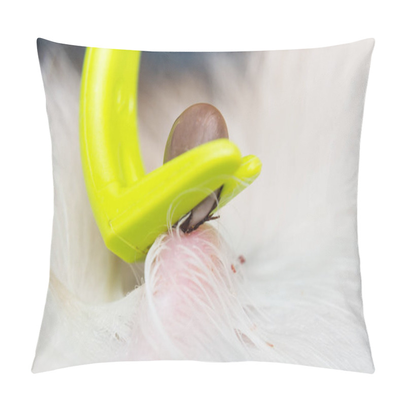 Personality  Removing A Tick From Cat Or Dog Skin With Tick Remover Tool Pillow Covers