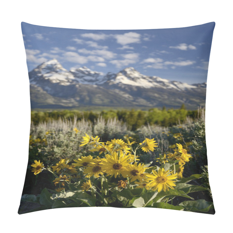 Personality  Sunflower In  Wyoming - USA Pillow Covers