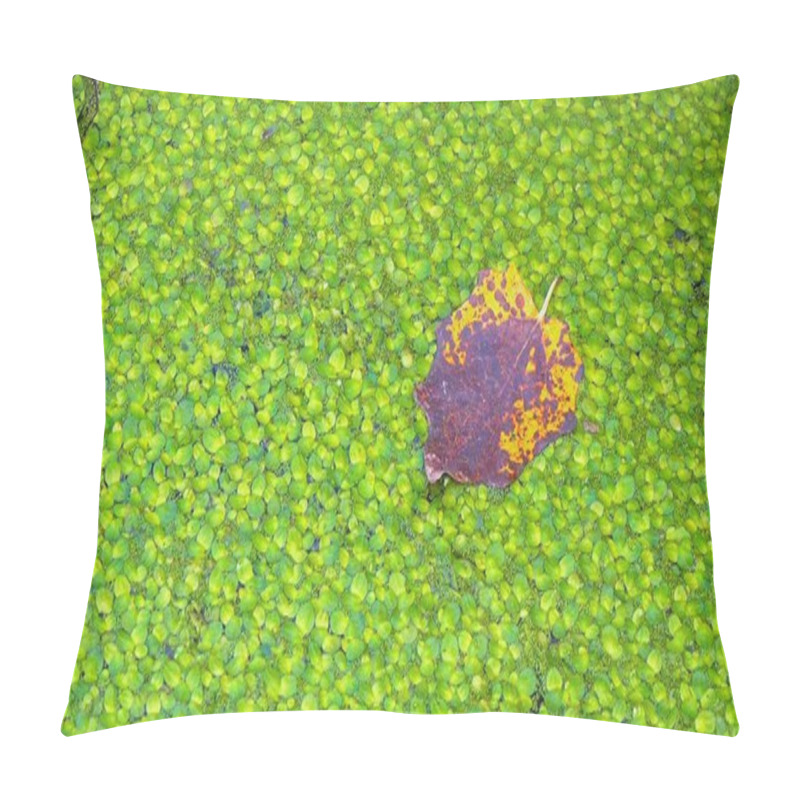 Personality  Falling Into The Water Covered With Duckweed -Lemna Minor, The Leaves Of The Trees Float On The Surface Pillow Covers