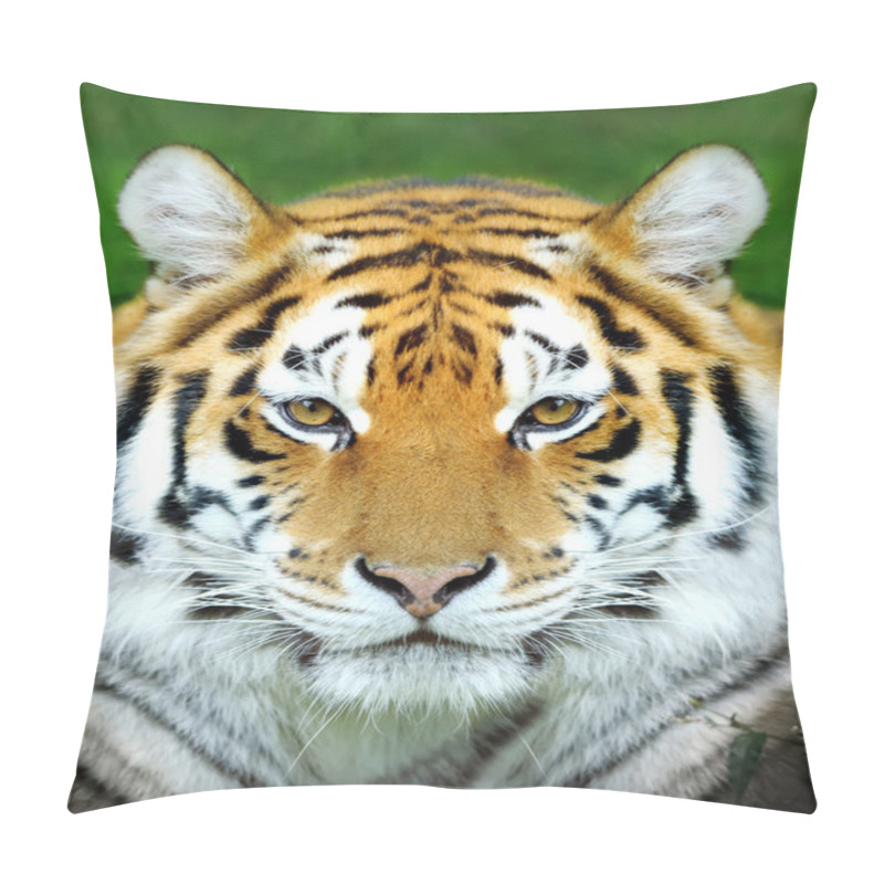 Personality  Tiger Pillow Covers