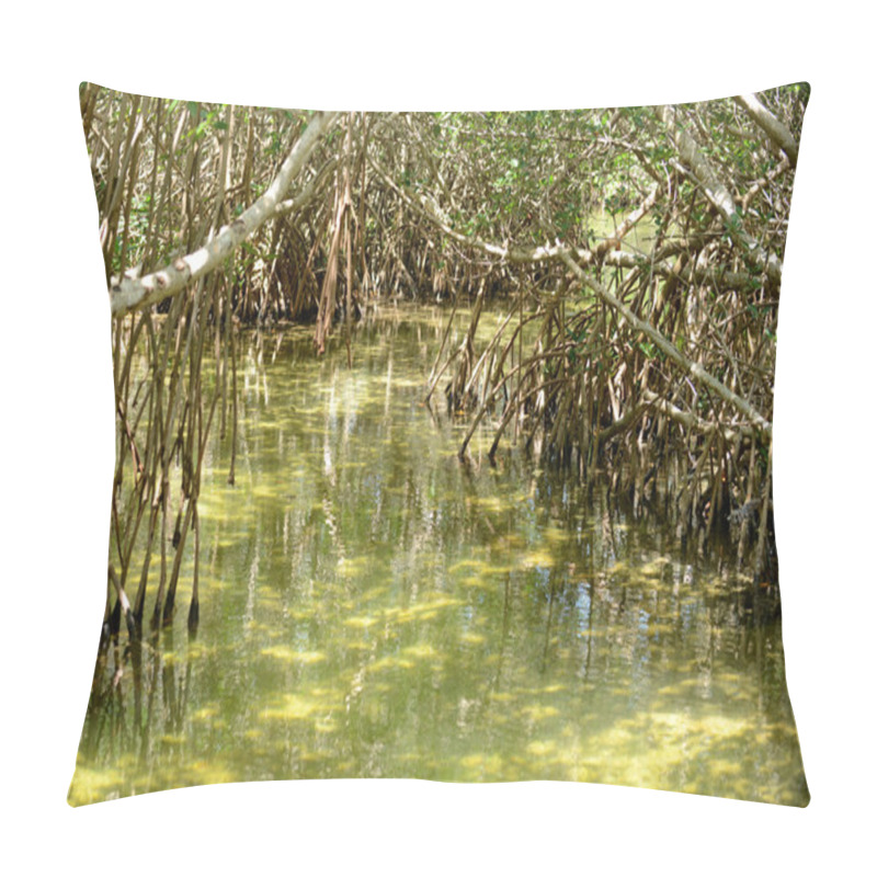 Personality  Mangrove In A Tropical Destination Pillow Covers