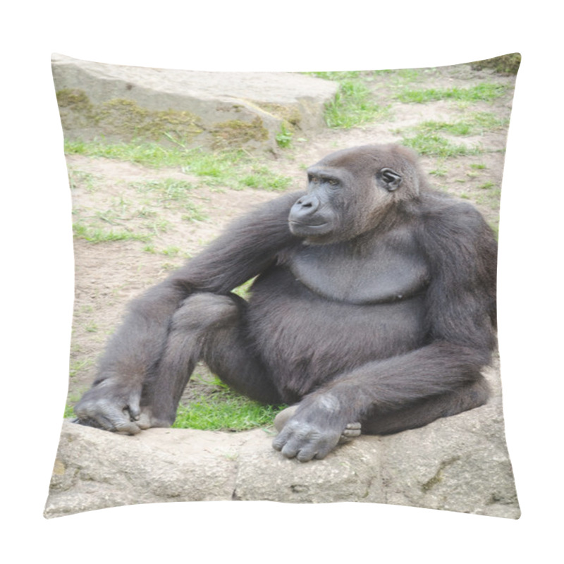 Personality  Male Silverback Gorilla, Single Mammal On Grass Pillow Covers