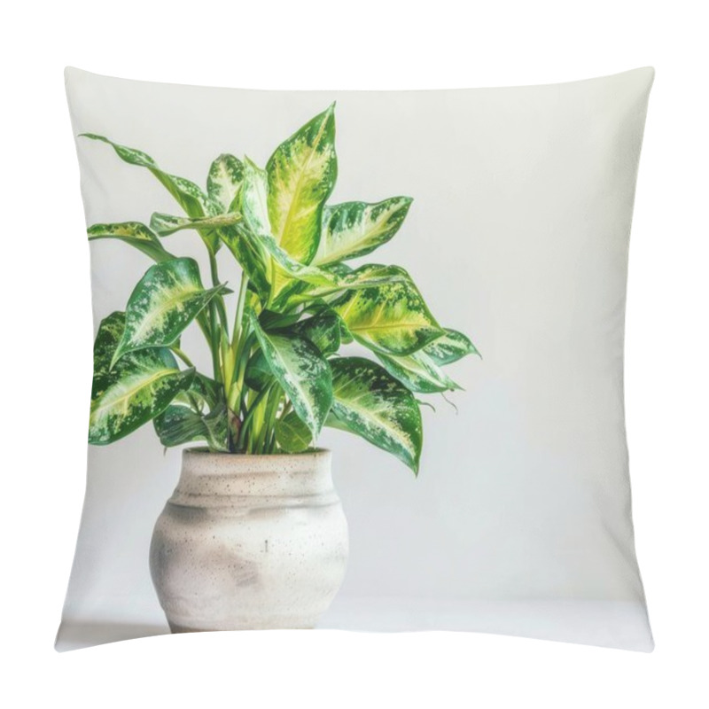 Personality  A Vibrant Green Potted Plant With Glossy Leaves, Adding A Touch Of Nature To Any Indoor Space. Pillow Covers