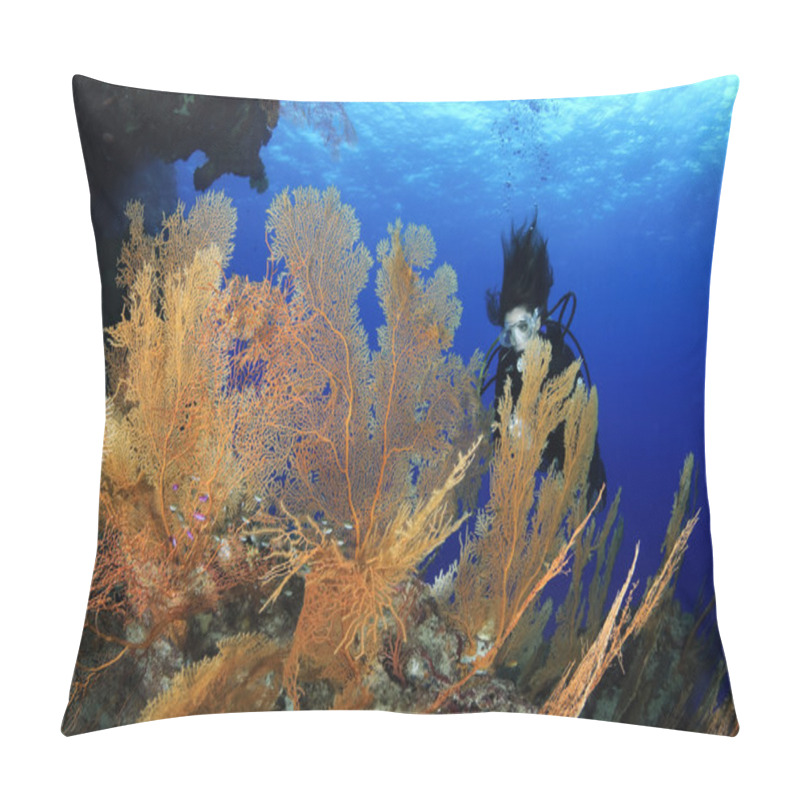 Personality  Gorgonian Sea Fan Anella Mollis And Female Diver Pillow Covers