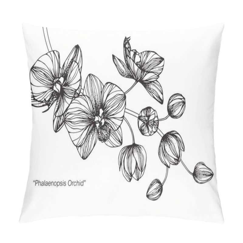 Personality  Orchids Flower. Drawing And Sketch With Black And White Line-art. Pillow Covers