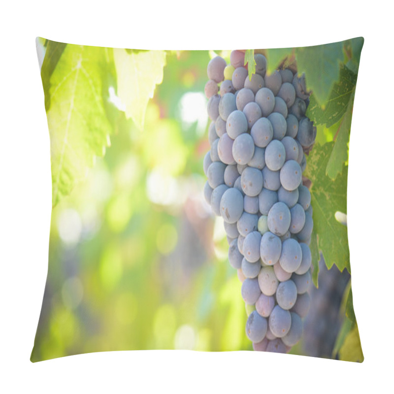 Personality  Red Grapes On The Vine Pillow Covers