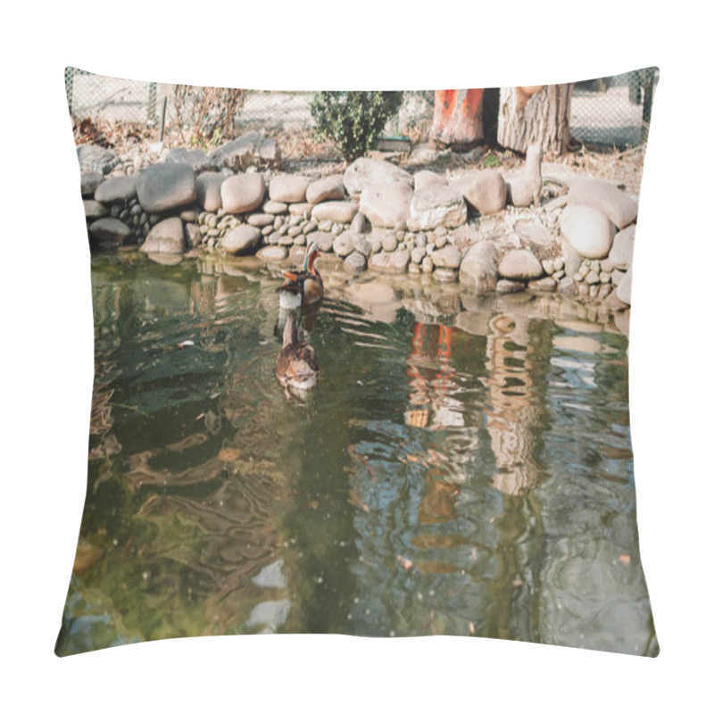 Personality  A Duck With A Green Head And Feathers Swims On A Calm Lake. A Special Pond At The Zoo For Waterfowl. Pillow Covers