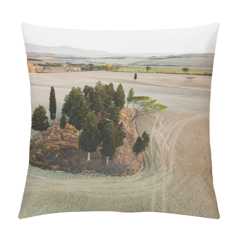 Personality  Famous Tuscany View Of Cipressi Di San Quirico D'Orcia. Autumn A Pillow Covers