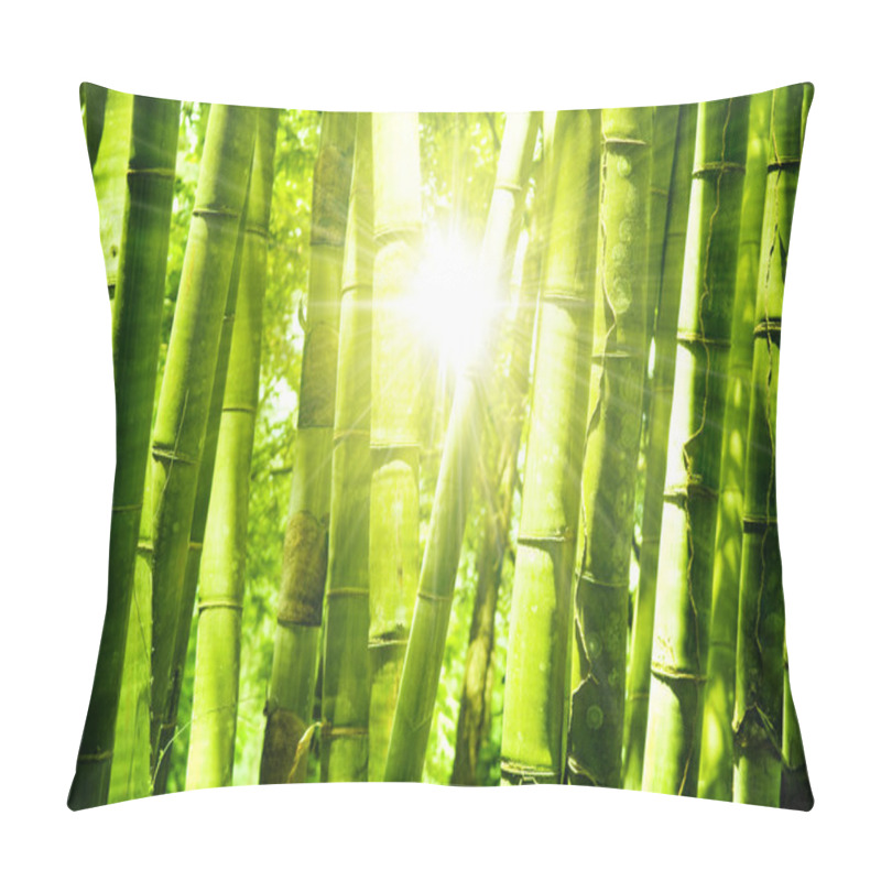 Personality  Bamboo Forest Pillow Covers