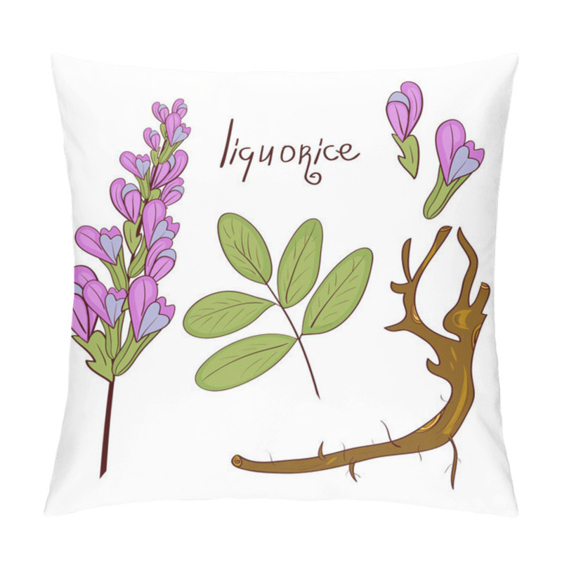 Personality  Licorice. Root, Flower, Leaves. Set. Sketch Pillow Covers