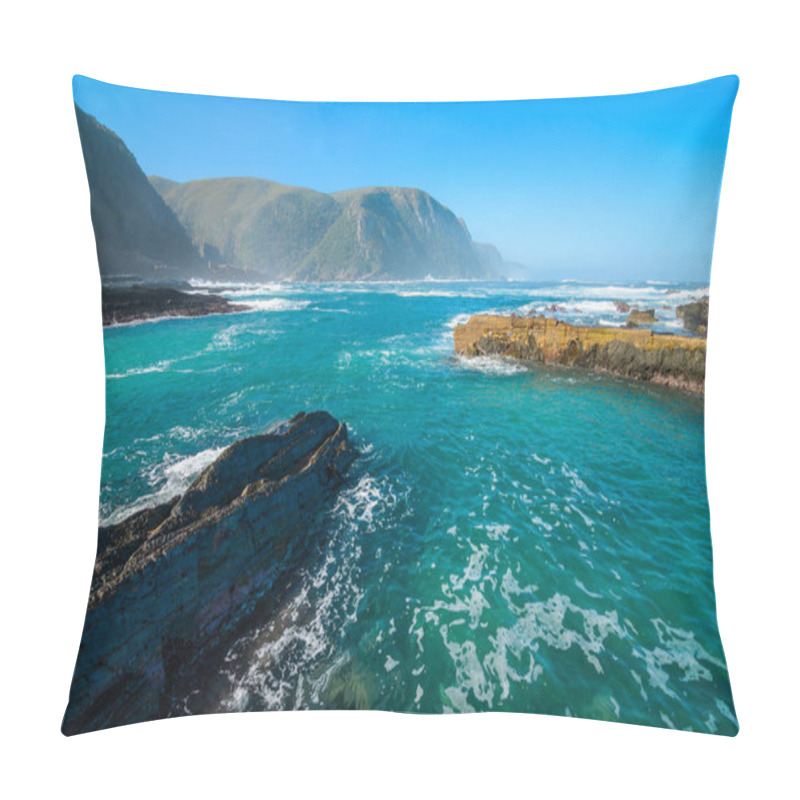 Personality  Tsitsikamma National Park, Garden Route. South Africa Pillow Covers