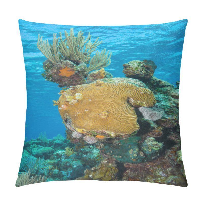 Personality  Beautiful Coral Garden In The Bay Of Pigs Pillow Covers