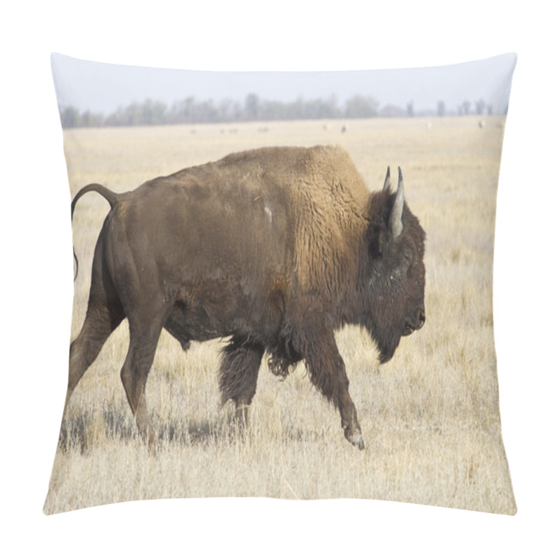 Personality  North American Bison Male Who Goes By The Ukrainian Steppes Pillow Covers