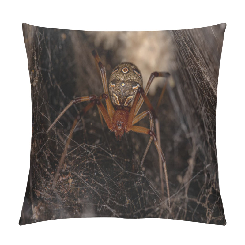 Personality  Female Adult Brown Widow Spider Of The Species Latrodectus Geometricus Pillow Covers