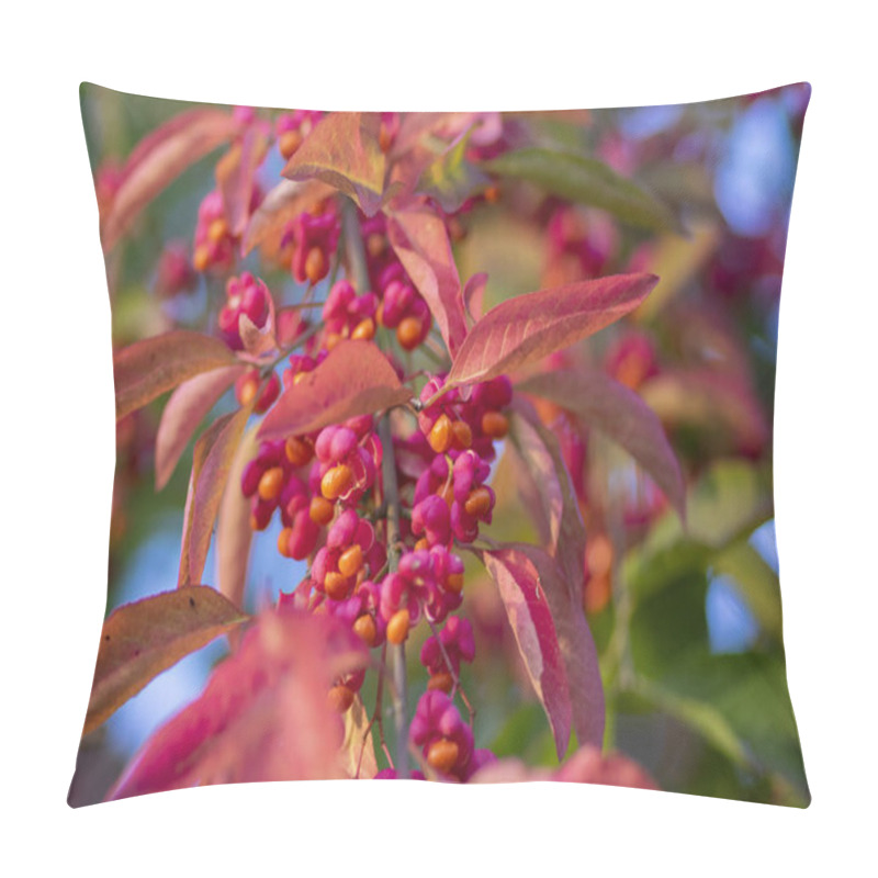 Personality  Euonymus Europaeus European Common Spindle Capsular Ripening Autumn Fruits, Red To Purple Or Pink Colors With Orange Seeds, Autumnal Colorful Leaves Pillow Covers