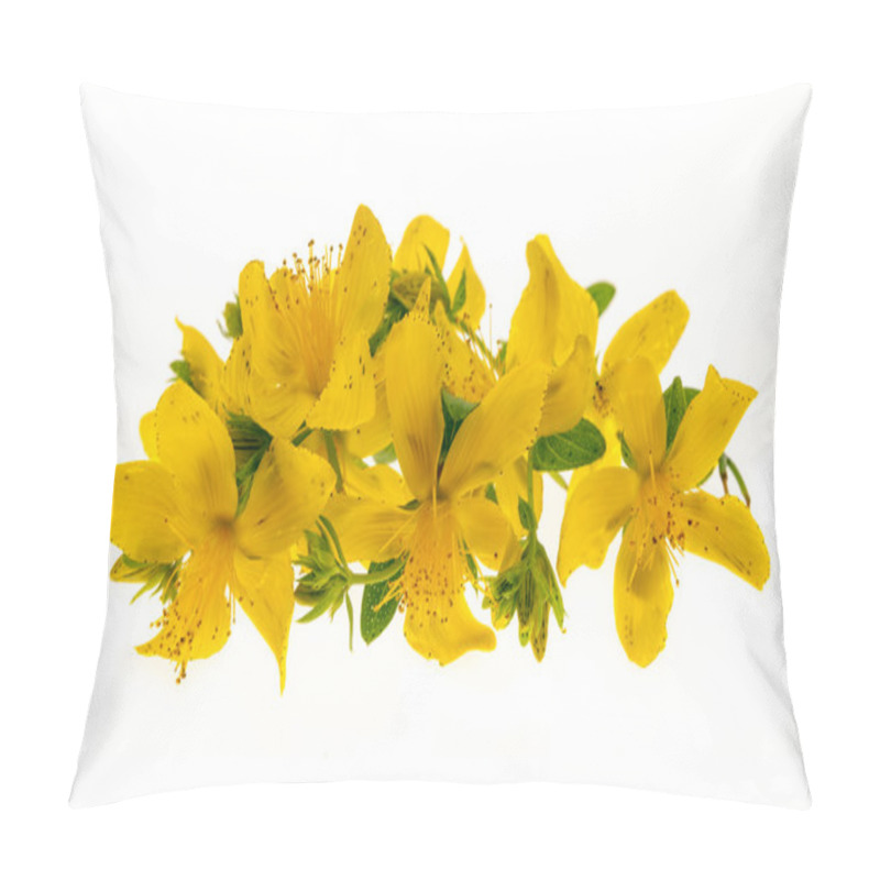 Personality  St. John's Wort Flowers Pillow Covers