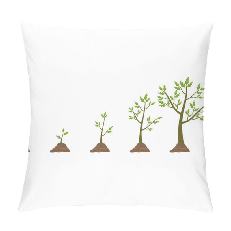 Personality  Tree Life Cycle Pillow Covers