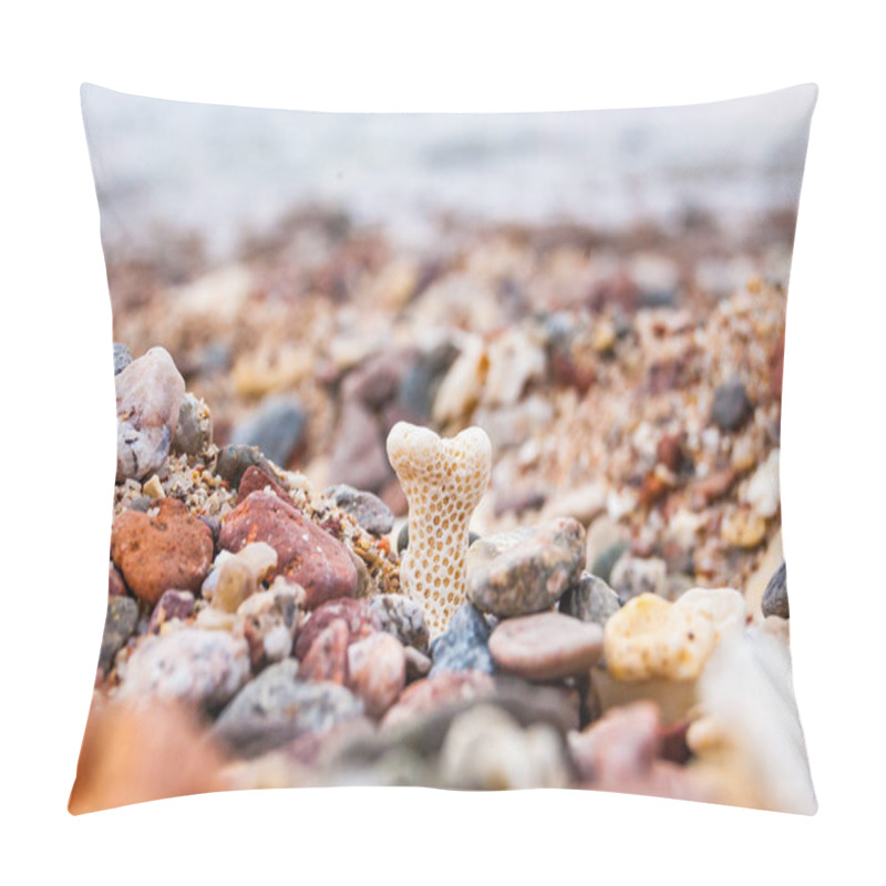 Personality  Small Coral Surrounded By Many Small Pebbles On The Red Sea Beach In Eilat, Israel Pillow Covers