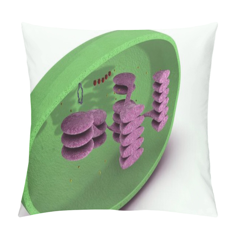 Personality  Chloroplast 3d Illustration Pillow Covers