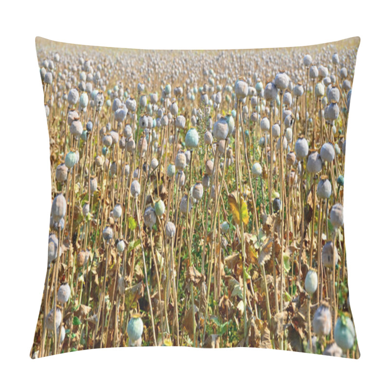 Personality  Poppy Field With Ripe Finials Pillow Covers