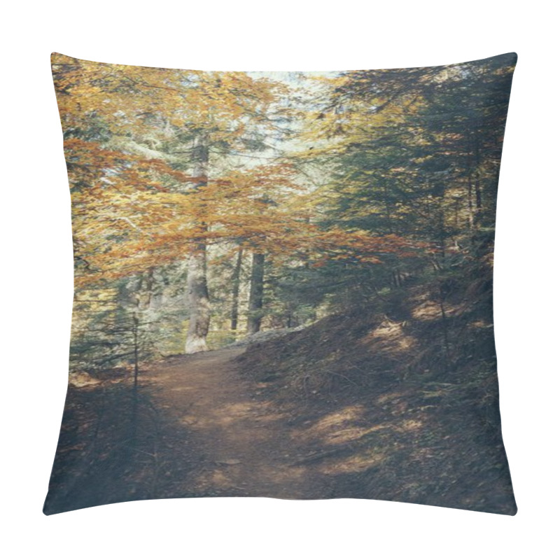 Personality  Footpath In Beautiful Mountain Forest In Carpathians, Ukraine Pillow Covers