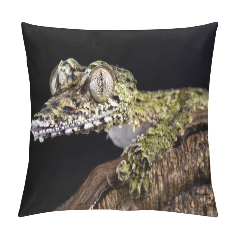 Personality  The Giant Leaf-tailed Gecko (Uroplatus Giganteus) Is One Of The Biggest Gecko Species In The World. They Are Found In Northern Madagascar. Pillow Covers